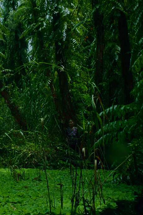 The Eternal Springtime